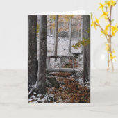 雪の日の挨拶状 カード (黄色い花)