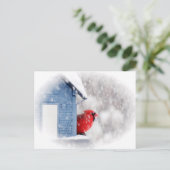 雪の日の(鳥)ショウジョウコウカンチョウ – 鳥 ポストカード (スタンド正面)