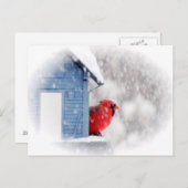 雪の日の(鳥)ショウジョウコウカンチョウ – 鳥 ポストカード (正面/裏面)