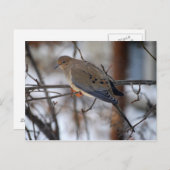 雪の日はがきにハトる ポストカード (正面/裏面)