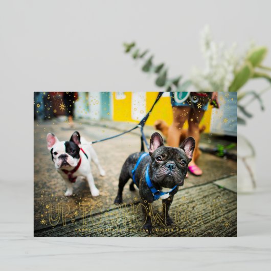 雪の日もペットと一緒に楽しもう!ペットのホリデー写真カード 箔シーズンカード (立ち正面)