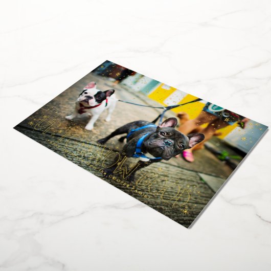 雪の日もペットと一緒に楽しもう！ペットのホリデー写真カード 箔シーズンカード (回転した状態)