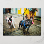 雪の日もペットと一緒 | ペットのホリデー写真カード 箔シーズンカード (正面)