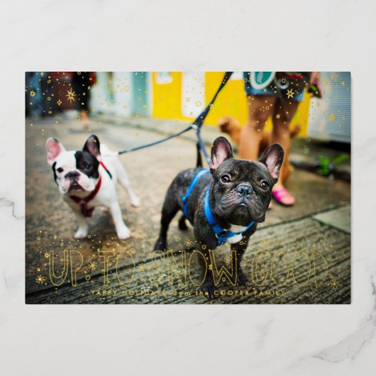 雪の日もペットと一緒 | ペットのホリデー写真カード 箔シーズンカード (正面)