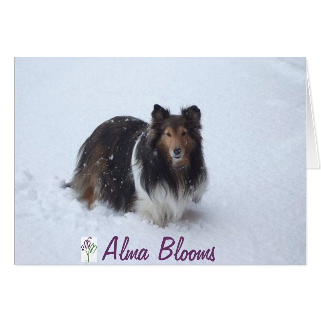 雪の日 (正面横)