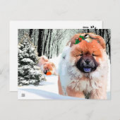 雪の日 チョウのホリデーポストカード シーズンポストカード (正面/裏面)