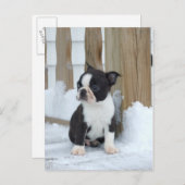 雪の日 ポストカード (正面/裏面)