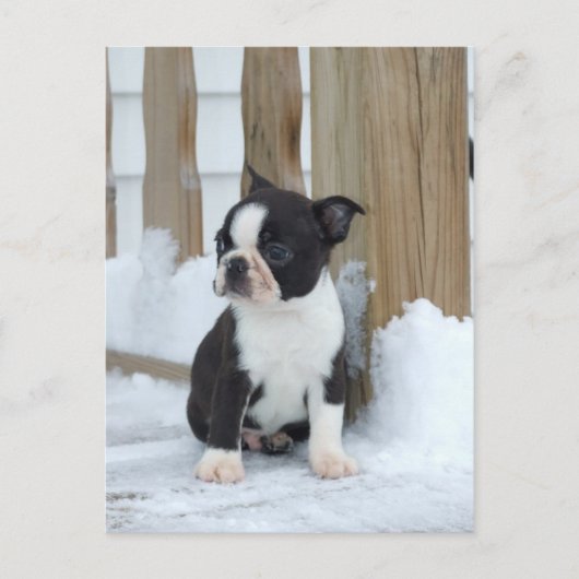 雪の日 ポストカード (正面)