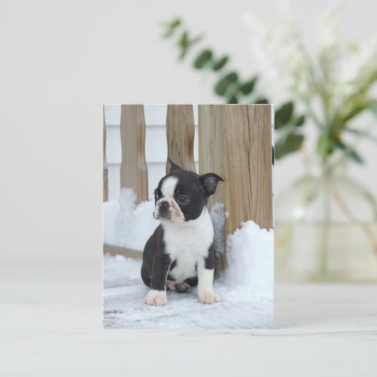 雪の日 ポストカード (スタンド正面)