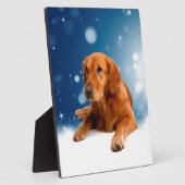 雪の星に座る、かわいいゴールデンレトリバー犬 フォトプラーク (側面)