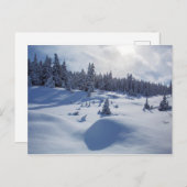 雪の景色 ポストカード (正面/裏面)