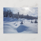 雪の景色 ポストカード (正面)
