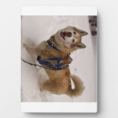 雪の最大高さ(5 x 7) フォトプラーク (正面)