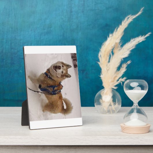 雪の最大高さ(5 x 7) フォトプラーク (側面)