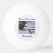 雪の朝 卓球ボール (正面)