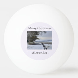 雪の朝 卓球ボール