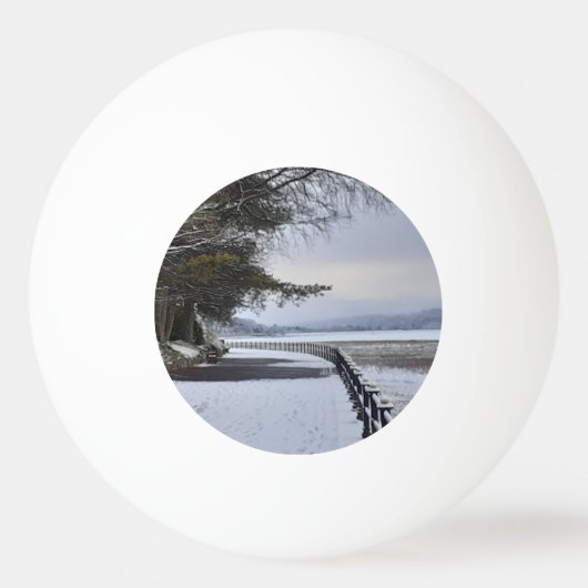 雪の朝 卓球ボール (裏面)