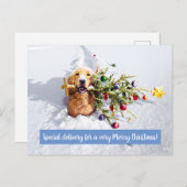 雪の木のある犬 インビテーションポストカード (正面/裏面)