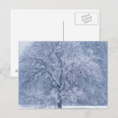 雪の木の冬の凍った風景 ポストカード (正面/裏面)