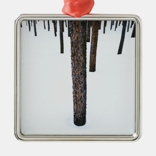 雪の木の幹 メタルオーナメント (正面)
