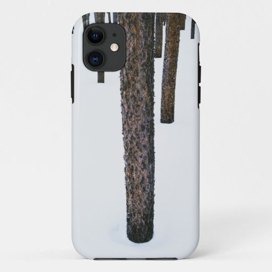 雪の木の幹 Case-Mate iPhoneケース (裏面)