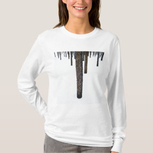 雪の木の幹 Tシャツ