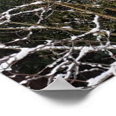 雪の木ポスター ポスター (角)