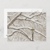 雪の木2 ポストカード (正面/裏面)