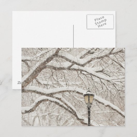 雪の木2 ポストカード (正面/裏面)