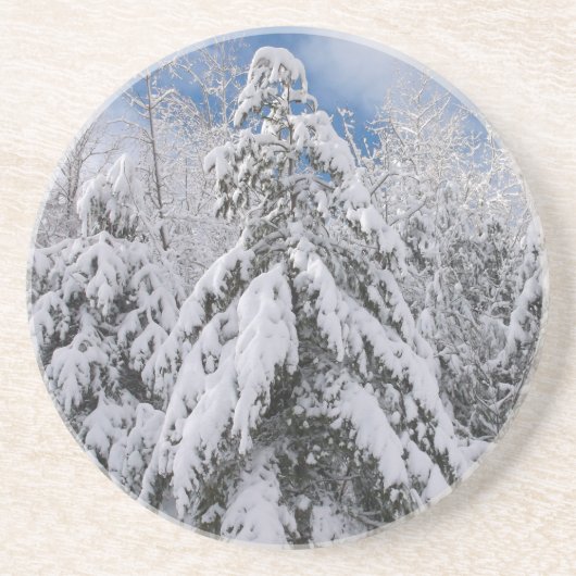 雪の木 コースター (正面)