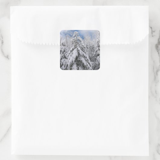 雪の木 スクエアシール (バッグ)