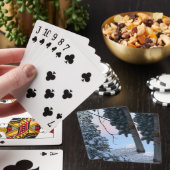 雪の木 トランプ (インサイチュ)