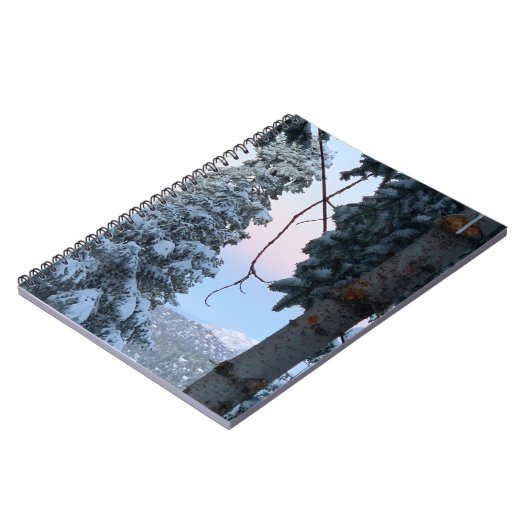 雪の木 ノートブック (左側)