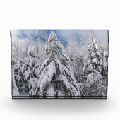 雪の木 フォトブロック (正面)