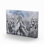 雪の木 フォトブロック (右)