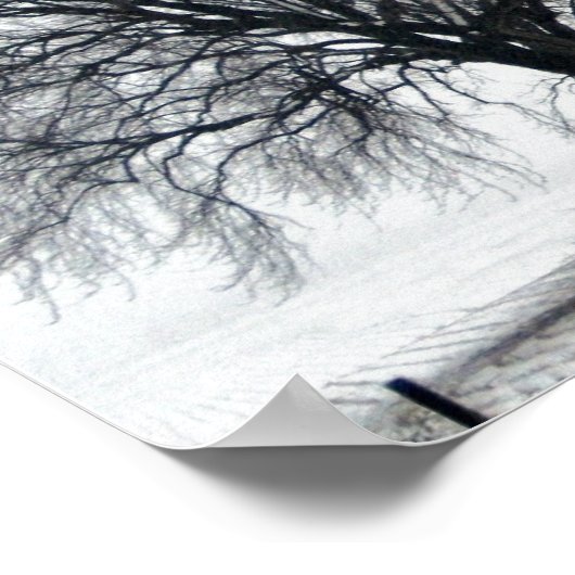 雪の木 ポスター (角)