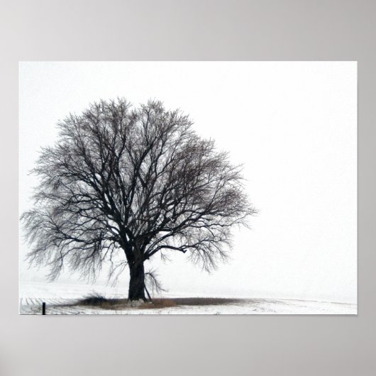 雪の木 ポスター (正面)