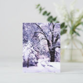 雪の木 ポストカード (スタンド正面)