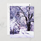 雪の木 ポストカード (正面/裏面)