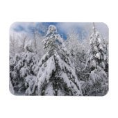 雪の木 マグネット (横)