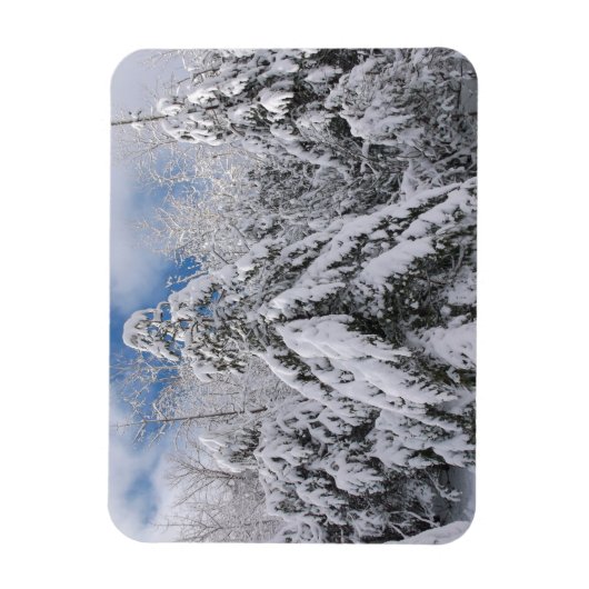 雪の木 マグネット (縦)