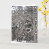 雪の木III カード (黄色い花)