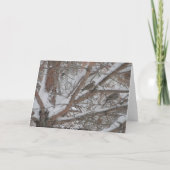 雪の松の中の鳩 カード (裏面)