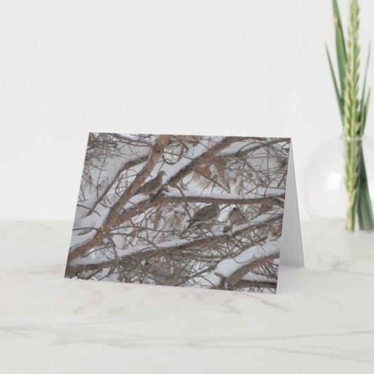 雪の松の中の鳩 カード (正面)