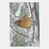 雪の松の木にいるメスのショウジョウコウカンチョウ、 キッチンタオル (縦)