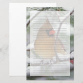 雪の松の木にいるメスのショウジョウコウカンチョウ、 便箋 (正面/裏面)