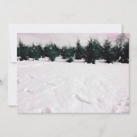 雪の松の木のある冬の風景 招待状 (正面)