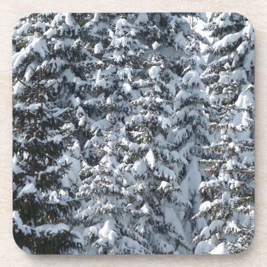 雪の松の木のテクスチャ コースター (正面)
