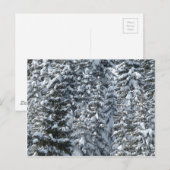雪の松の木のテクスチャ ポストカード (正面/裏面)