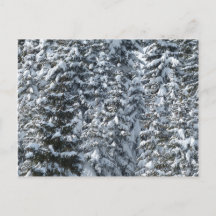 雪の松の木のテクスチャ